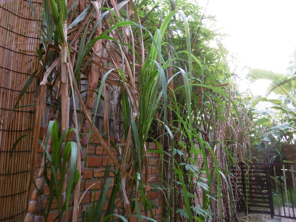 Andre Boutique Villa Siem Reap Exterior foto