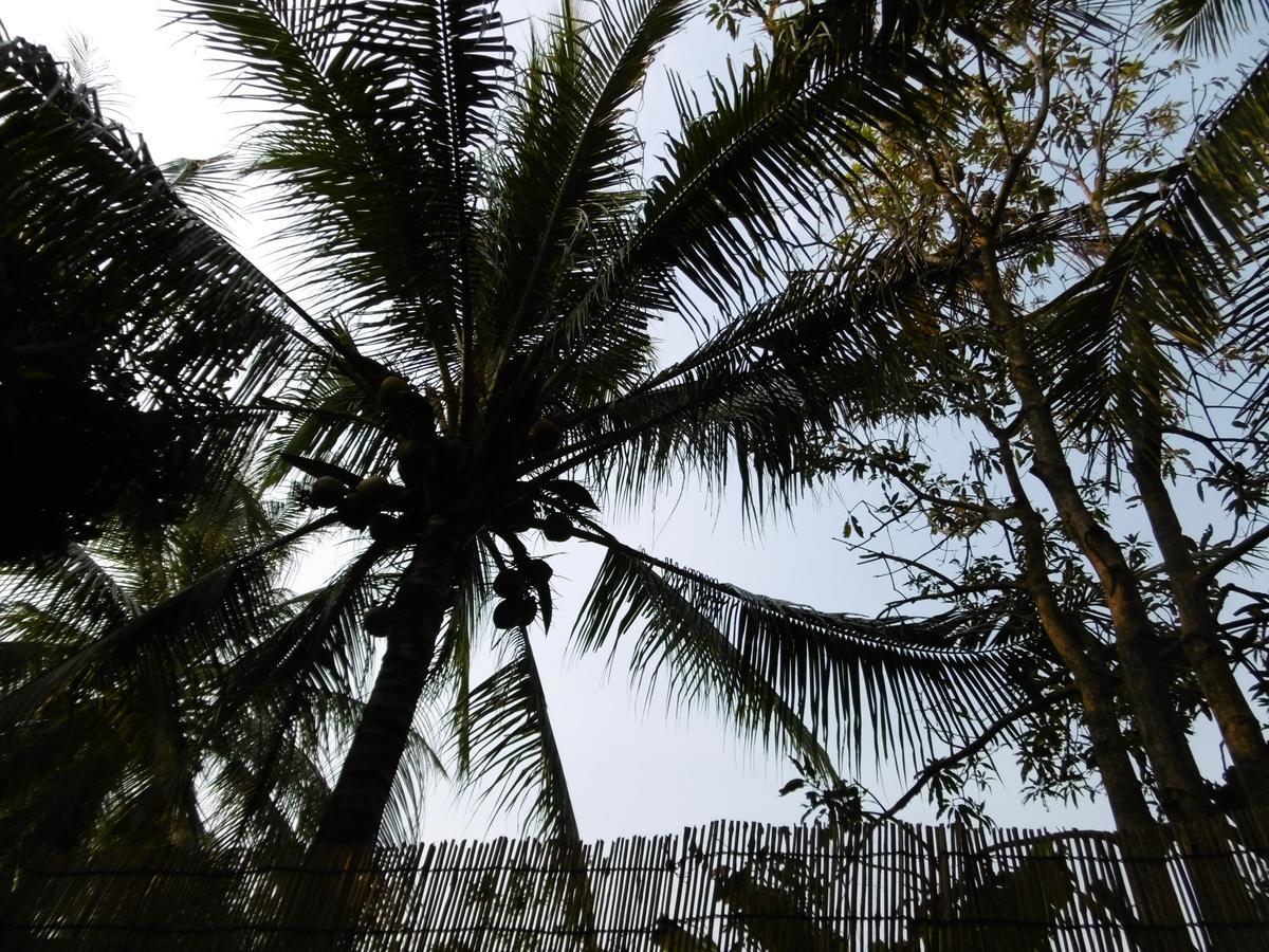 Andre Boutique Villa Siem Reap Exterior foto