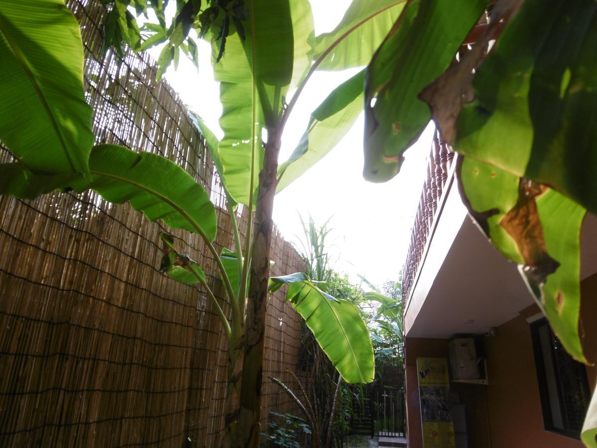 Andre Boutique Villa Siem Reap Exterior foto
