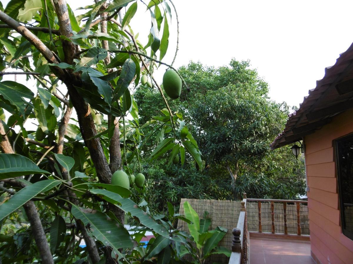 Andre Boutique Villa Siem Reap Exterior foto